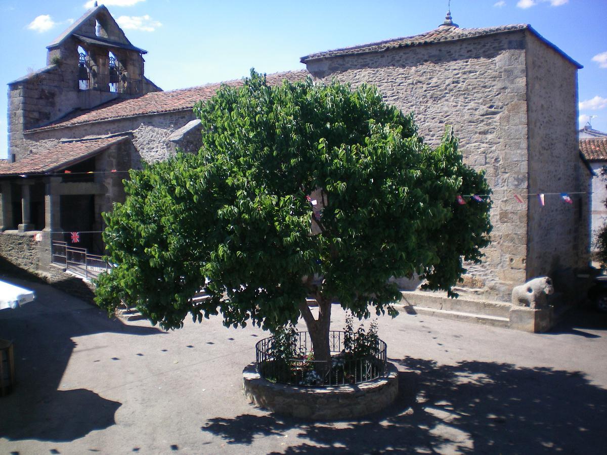 Hotel Rural Los Perales San Vitero エクステリア 写真